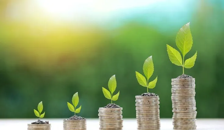 4.2 LPA in hand salary